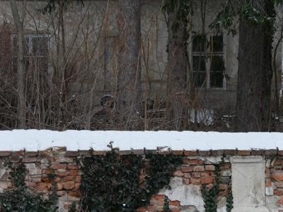 P1030330_KL.JPG